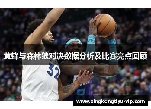 黄蜂与森林狼对决数据分析及比赛亮点回顾